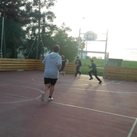 Tygří speciální schůzka