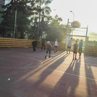 Tygří speciální schůzka