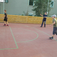 Tygří speciální schůzka