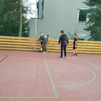 Tygří speciální schůzka