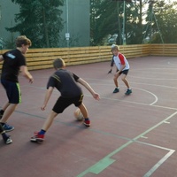 Tygří speciální schůzka