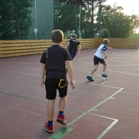 Tygří speciální schůzka