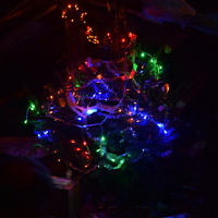 Vánoční oddílová schůzka