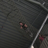 Veverčí výprava do Bruna