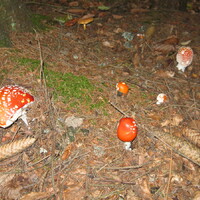 Veverčí výprava do Moravského krasu a přespání na Boudě