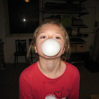 Veverčí výprava do Blanska