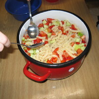 Veverčí výprava do Blanska