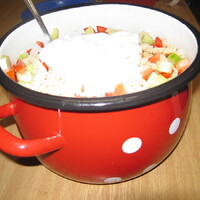 Veverčí výprava do Blanska