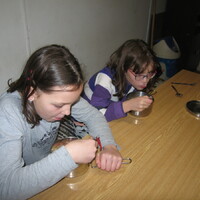 Veverčí výprava do Blanska