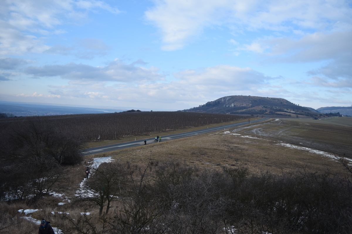 Vlčí výprava na Pálavu