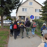 Vlčí výprava na Pálavu