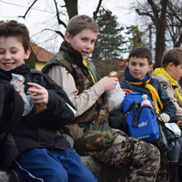 Vlčí výprava na Pálavu