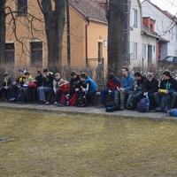 Vlčí výprava na Pálavu