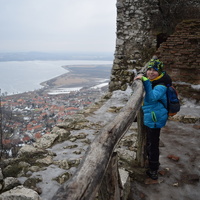 Vlčí výprava na Pálavu