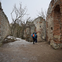 Vlčí výprava na Pálavu