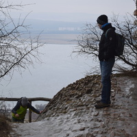 Vlčí výprava na Pálavu