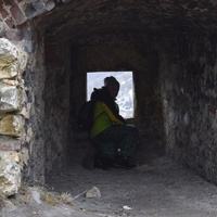 Vlčí výprava na Pálavu