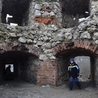 Vlčí výprava na Pálavu