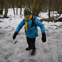 Vlčí výprava na Pálavu