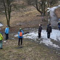 Vlčí výprava na Pálavu