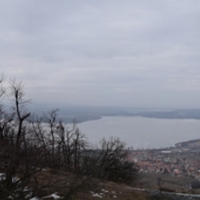 Vlčí výprava na Pálavu