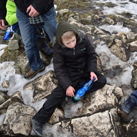 Vlčí výprava na Pálavu