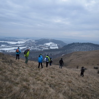 Vlčí výprava na Pálavu