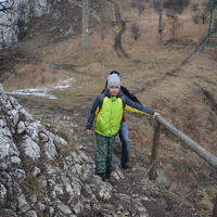 Vlčí výprava na Pálavu