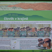 Vlčí výprava na Pálavu