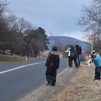 Vlčí výprava na Pálavu