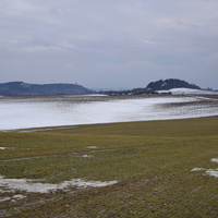 Vlčí výprava na Pálavu