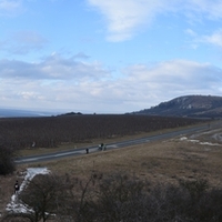 Vlčí výprava na Pálavu