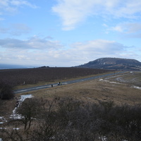 Vlčí výprava na Pálavu