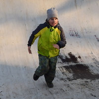 Vlčí výprava na Pálavu