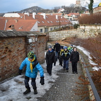 Vlčí výprava na Pálavu