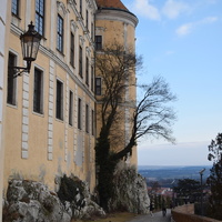 Vlčí výprava na Pálavu