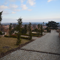 Vlčí výprava na Pálavu