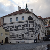 Vlčí výprava na Pálavu