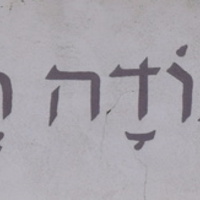 Vlčí výprava na Pálavu