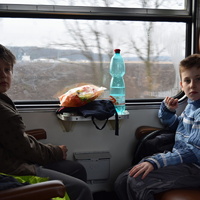 Vlčí výprava na Pálavu