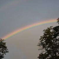 Vlčí výprava do Ivančic