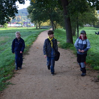 Vlčí výprava do Ivančic