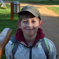 Vlčí výprava do Ivančic