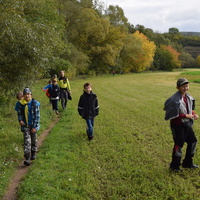 Vlčí výprava do Ivančic