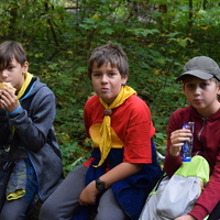 Vlčí výprava do Ivančic