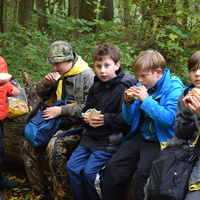 Vlčí výprava do Ivančic