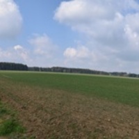 Vlčí výprava na Šifrův palouček