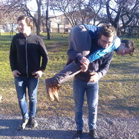 Zdravoťák - II. část