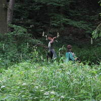 Veverko-vlčí výprava na Bílý potok