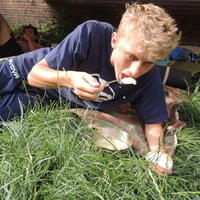 Dračí puťák na Ameriku